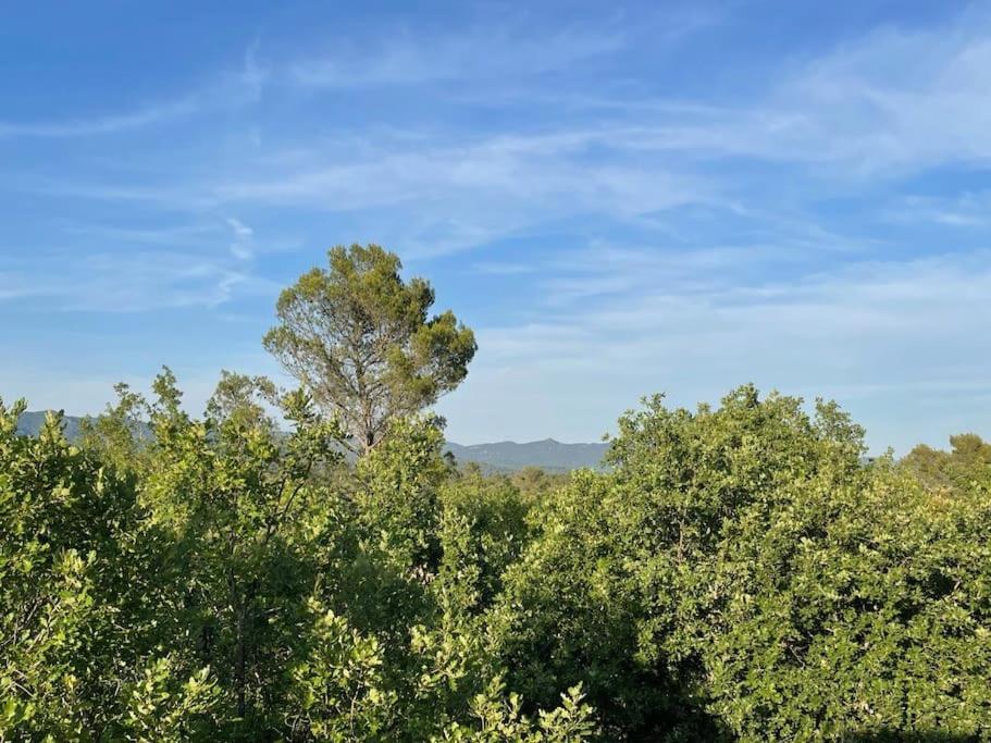 Villa Piscine - Gorges Du Verdon, Lac De Sainte-Croix Régusse Kültér fotó