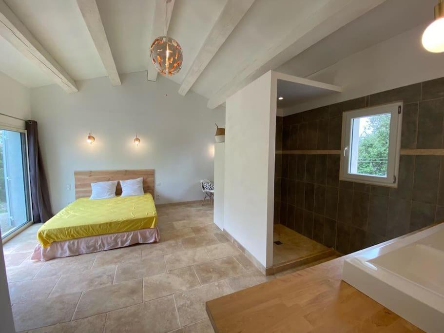 Villa Piscine - Gorges Du Verdon, Lac De Sainte-Croix Régusse Kültér fotó